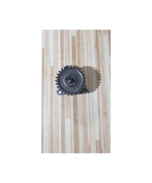 Pompa Ulei Suzuki GS 500F 2006