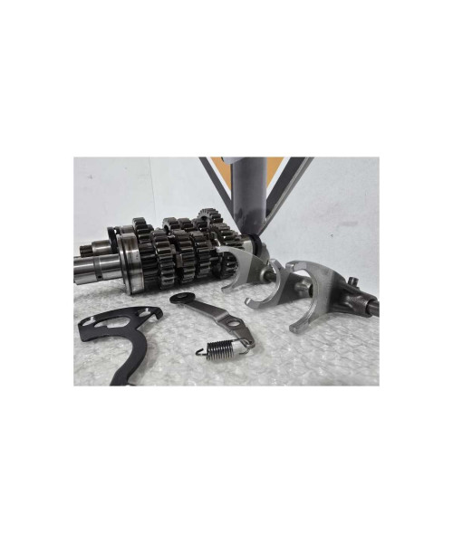 Cutie Viteze Suzuki GS 500F 2006