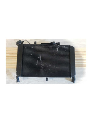 Radiator Complet Yamaha MT 09 ABS RN 29 2014