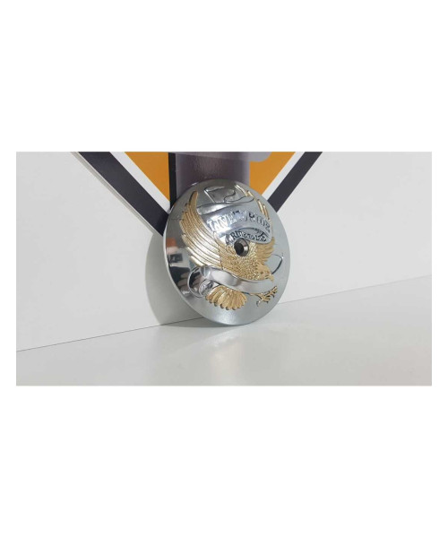 Ornament Capac Filtru Aer Live To Ride Ride To Live Harley Davidosn FAT BOY FLSTF 2003