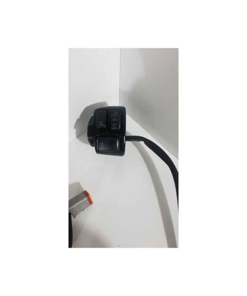 Bloc Semnalizare Harley Davidson FAT BOY FLSTF 2003