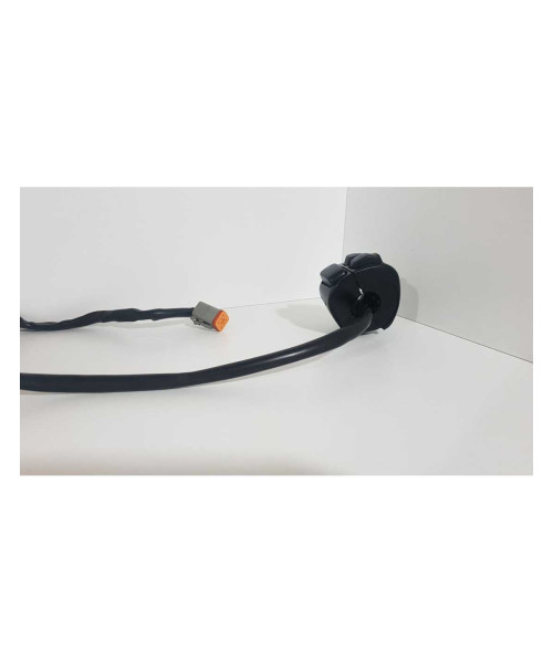 Bloc Semnalizare Harley Davidson FAT BOY FLSTF 2003