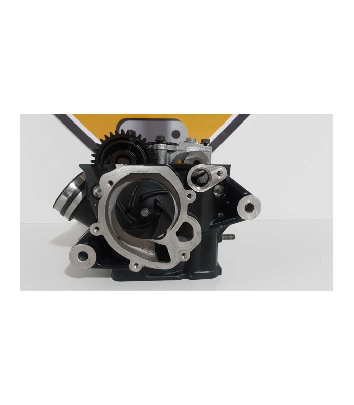 Chiulasa Completa BMW F 800 R 2013