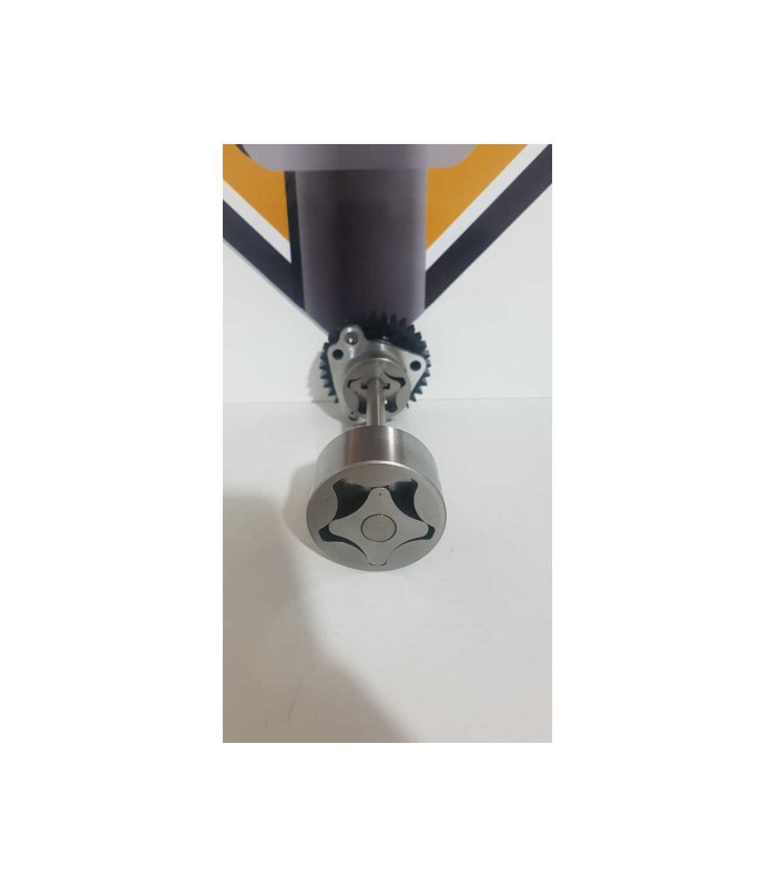 Pompa Ulei BMW F 800 R 2013