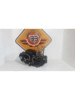 Cartere Motor Triumph T 100 EFI 2009