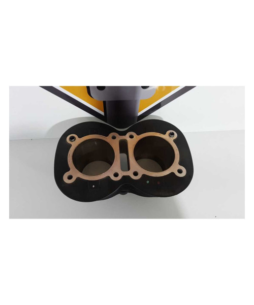 Cilindri Triumph T 100 EFI 2009