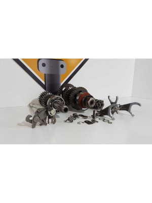 Cutie Viteze Triumph T 100 EFI 2009 2