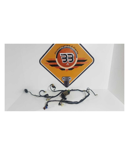 Instalatie Electrica Honda CB 600F Hornet PC 36A 2004
