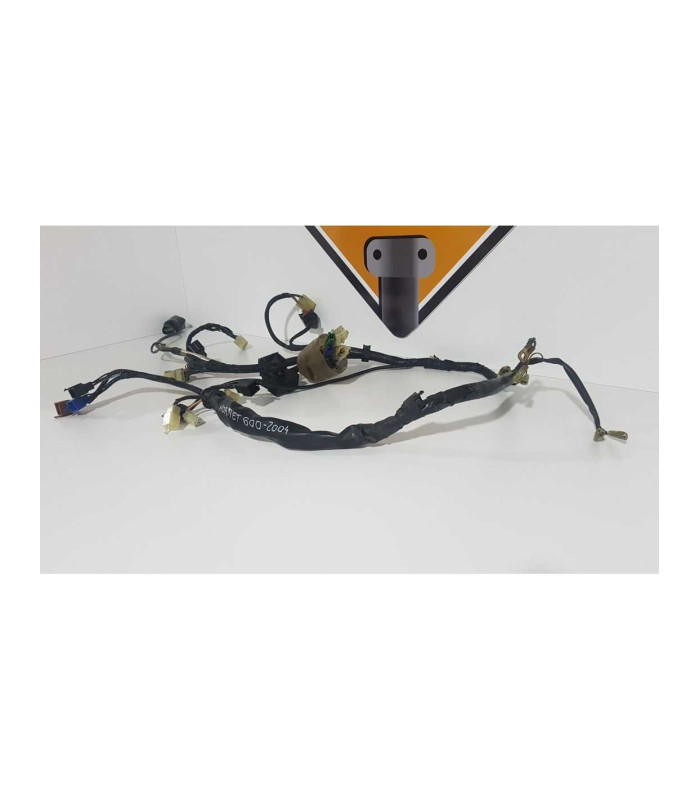 Instalatie Electrica Honda CB 600F Hornet PC 36A 2004