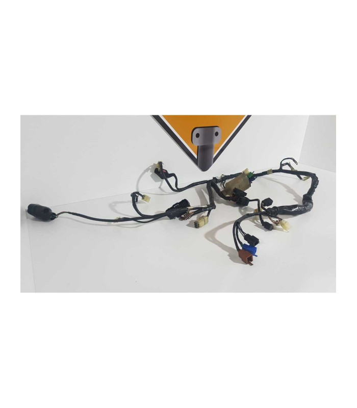 Instalatie Electrica Honda CB 600F Hornet PC 36A 2004