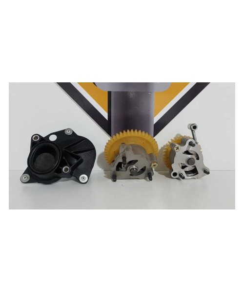 Pompa Ulei Triumph T 100 EFI 2009