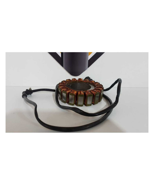 Stator Triumph T 100 EFI 2009