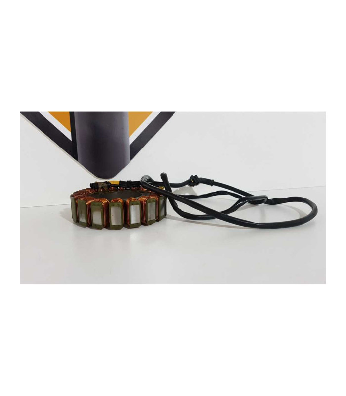 Stator Triumph T 100 EFI 2009