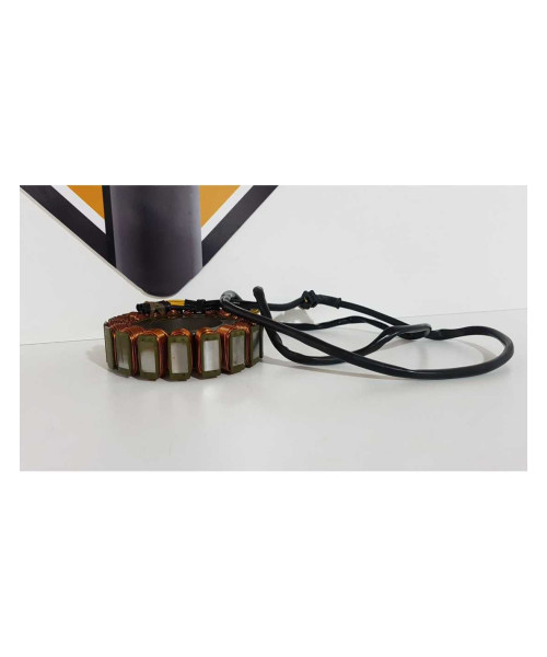 Stator Triumph T 100 EFI 2009