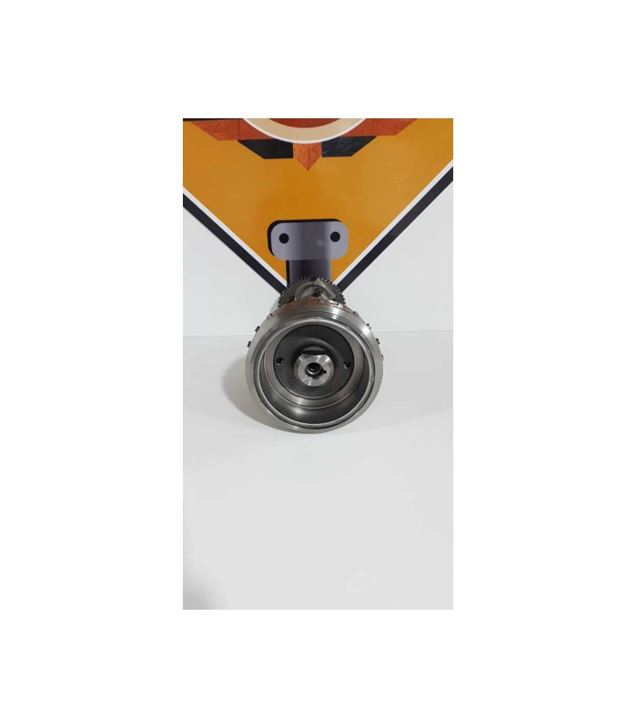 Vibrochen Cu Biele Si Magetou Triumph T 100 EFI 2009