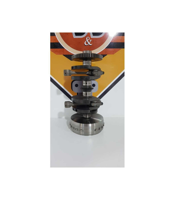 Vibrochen Cu Biele Si Magetou Triumph T 100 EFI 2009