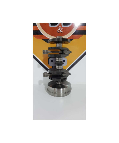 Vibrochen Cu Biele Si Magetou Triumph T 100 EFI 2009