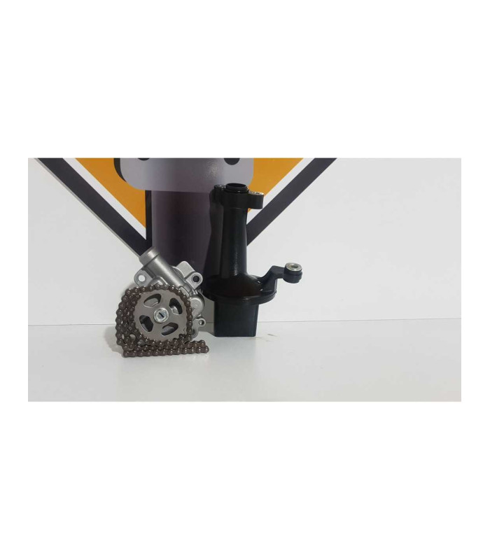 Pompa Ulei Yamaha MT 09 ABS RN 29 2014