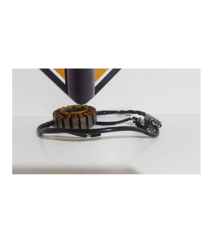 Stator Si Cititor Yamaha MT 09 ABS RN 29 2014