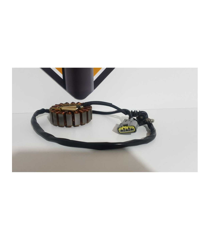 Stator Si Cititor Yamaha MT 09 ABS RN 29 2014