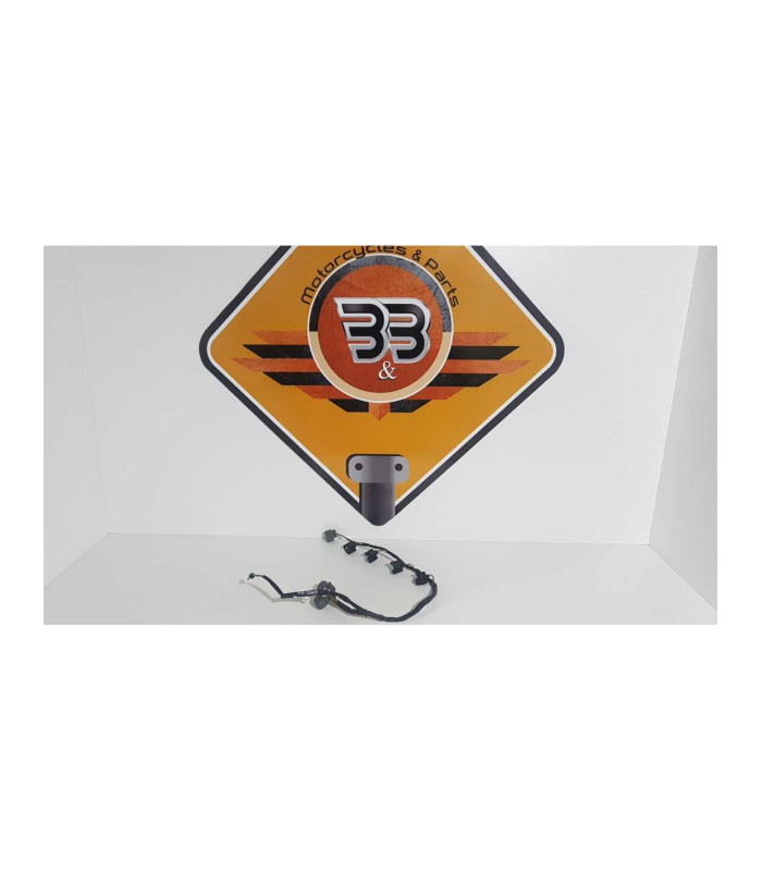 Instalatie Electrica Injectoare Honda CBR 600 F4i PC 35 2001