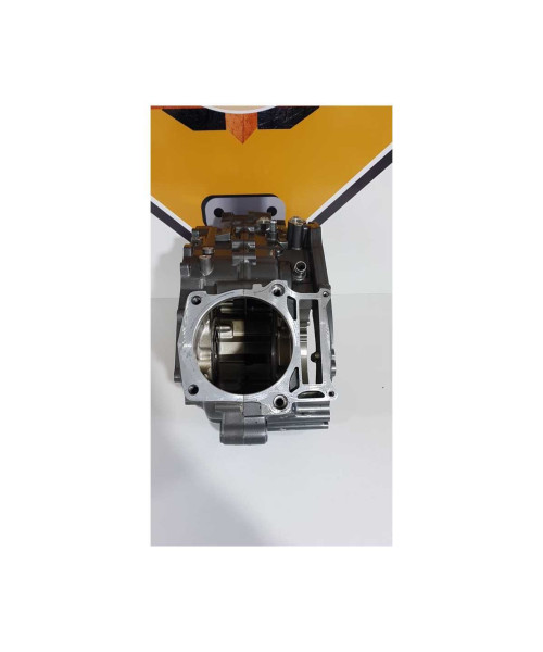 Cartere Motor Yamaha XT 660 Z 5VK 2012