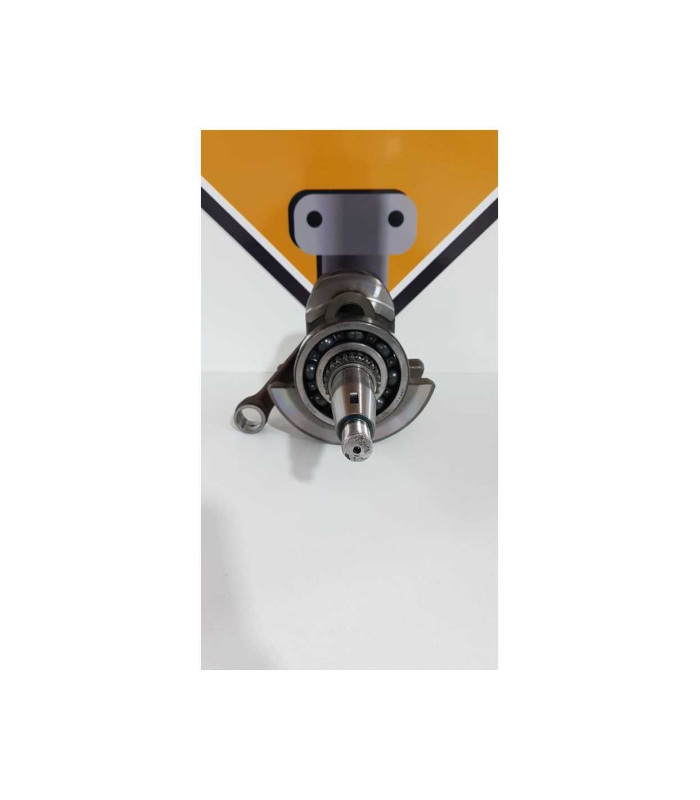 Ambielaj Cu Biela Yamaha XT 660 Z 5VK 2012