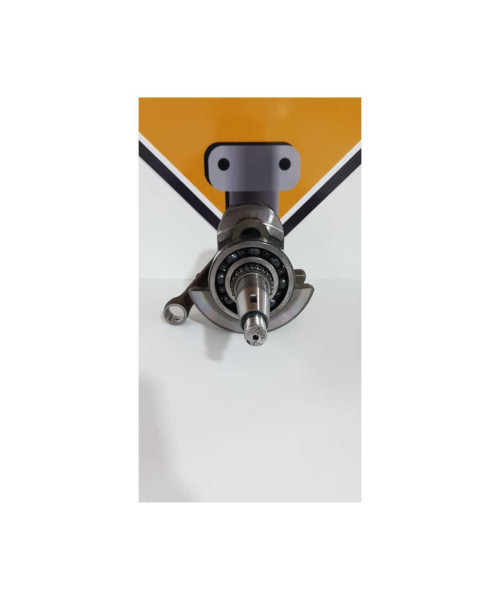 Ambielaj Cu Biela Yamaha XT 660 Z 5VK 2012