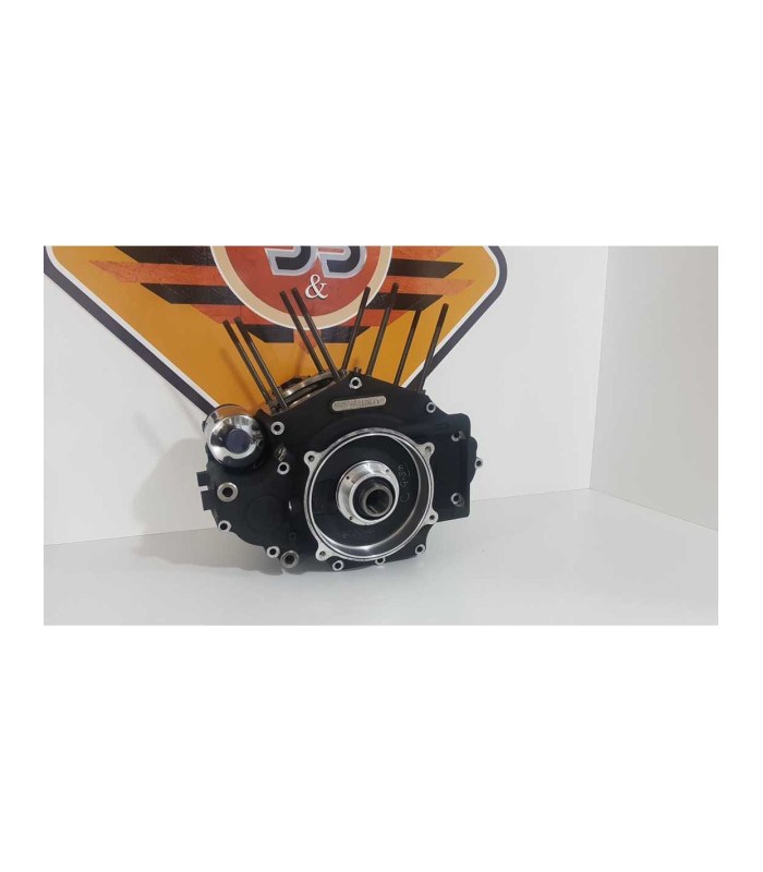 Cartere Motor Harley Davidson Fat Boy FLSTF 2003