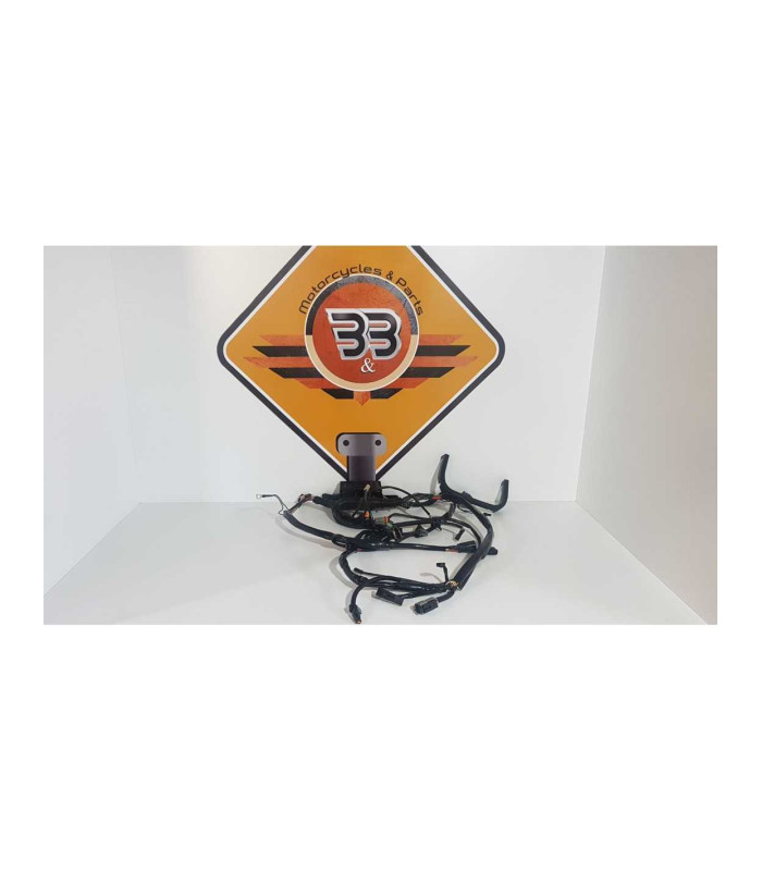 Instalatie Electrica Harley Davidson Fat Boy FLSTF 2003