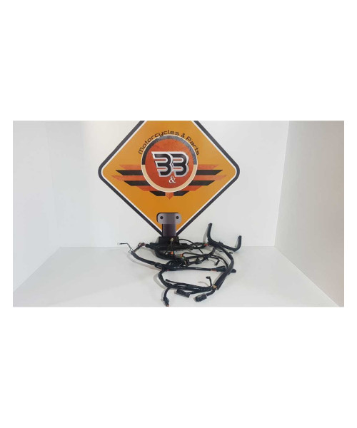Instalatie Electrica Harley Davidson Fat Boy FLSTF 2003