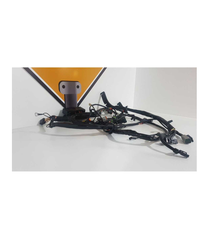 Instalatie Electrica Harley Davidson Fat Boy FLSTF 2003