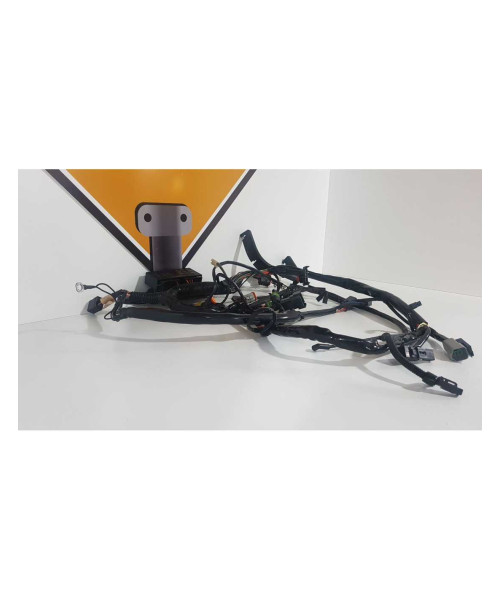 Instalatie Electrica Harley Davidson Fat Boy FLSTF 2003
