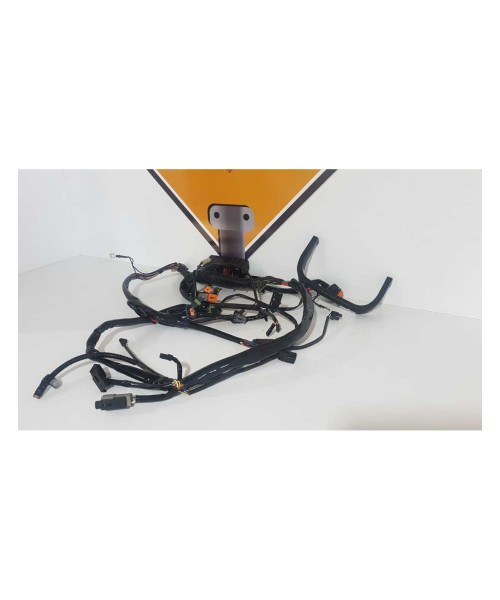 Instalatie Electrica Harley Davidson Fat Boy FLSTF 2003