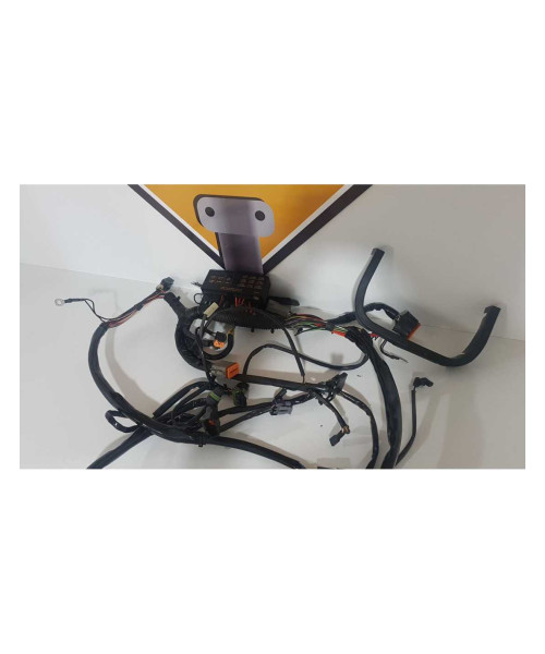 Instalatie Electrica Harley Davidson Fat Boy FLSTF 2003
