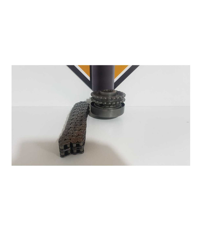 Pinioane Compensatoare Cu Lant Harley Davidson Fat Boy FLSTF 2003