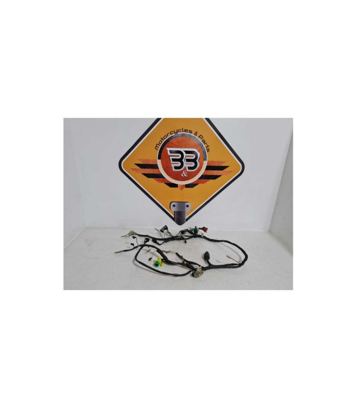 Instalatie Electrica Suzuki GS 500F 2006