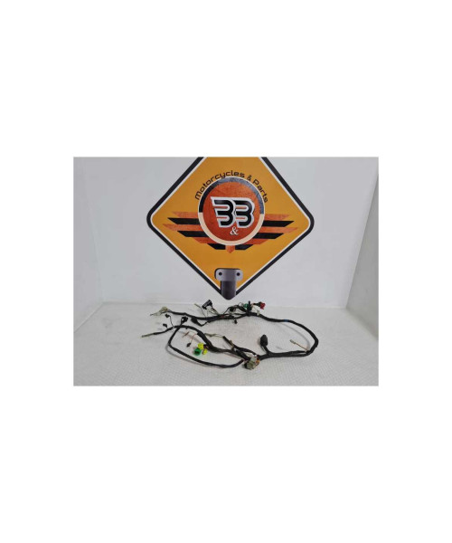 Instalatie Electrica Suzuki GS 500F 2006