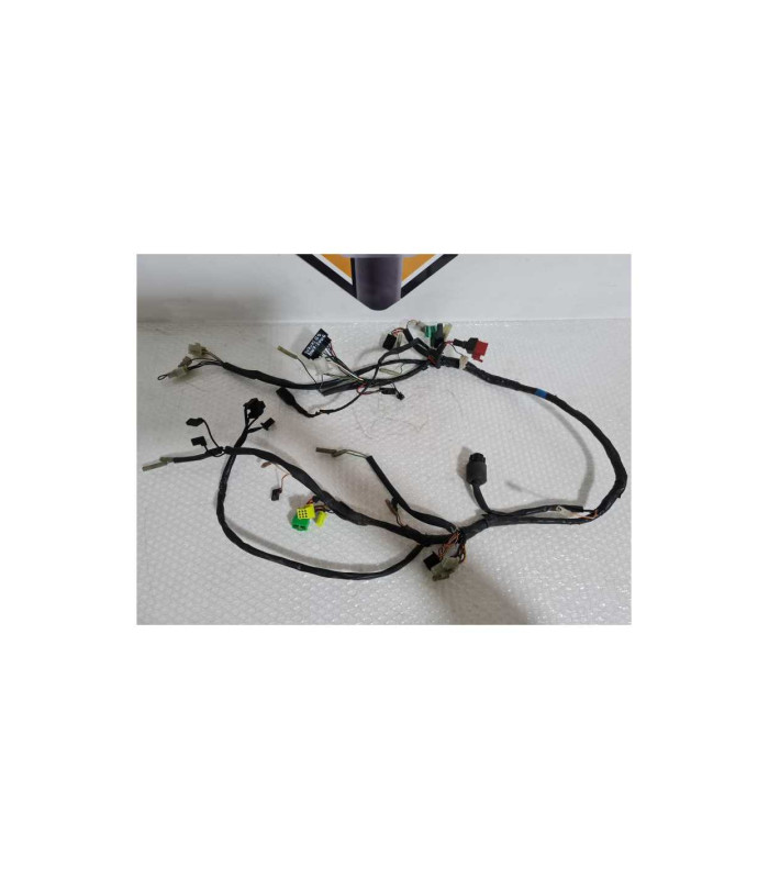 Instalatie Electrica Suzuki GS 500F 2006