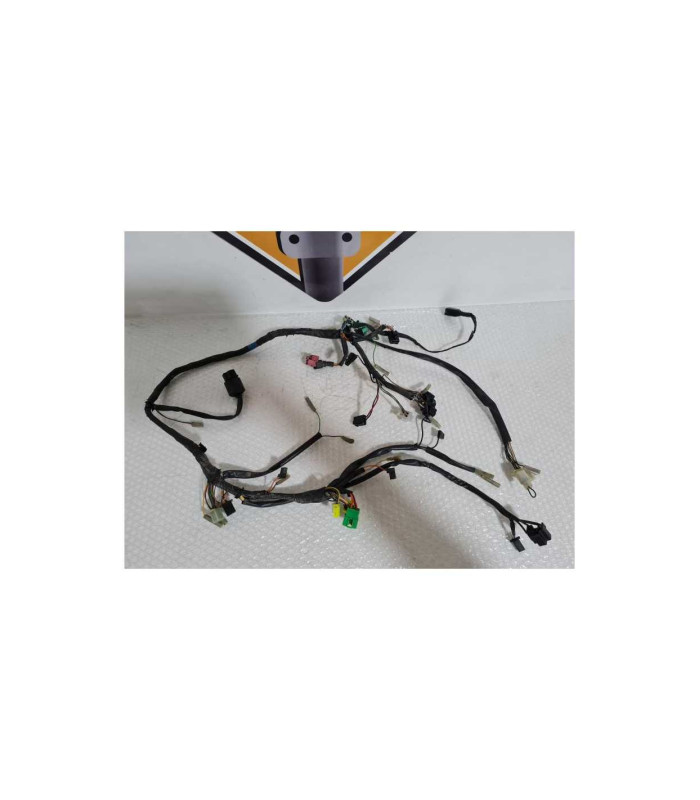 Instalatie Electrica Suzuki GS 500F 2006