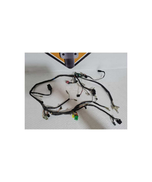 Instalatie Electrica Suzuki GS 500F 2006