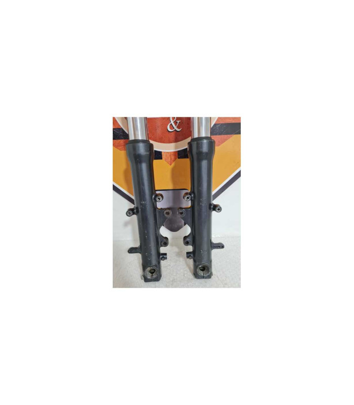 Telescoape Kawasaki Ninja ZX6R 1999