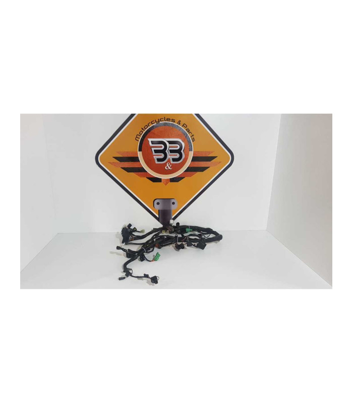 Instalatie Electrica Suzuki Gladius SFV 650 2011