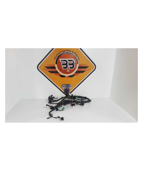 Instalatie Electrica Suzuki Gladius SFV 650 2011