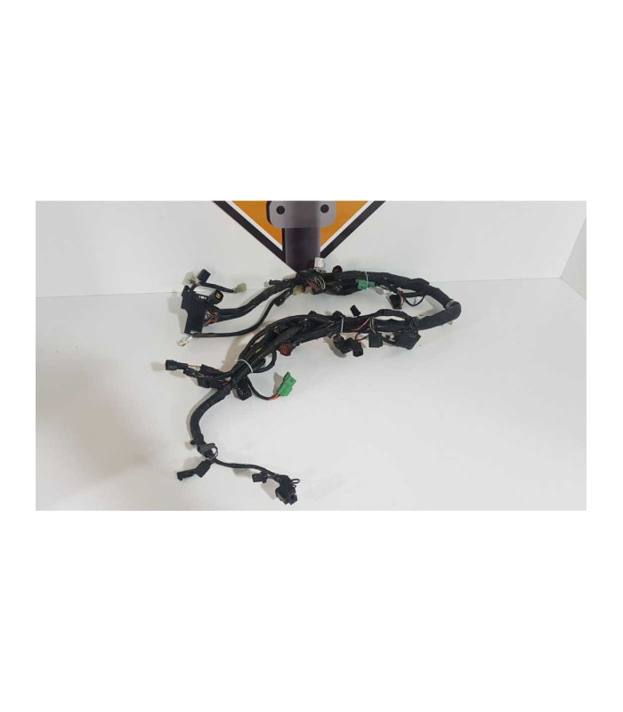 Instalatie Electrica Suzuki Gladius SFV 650 2011