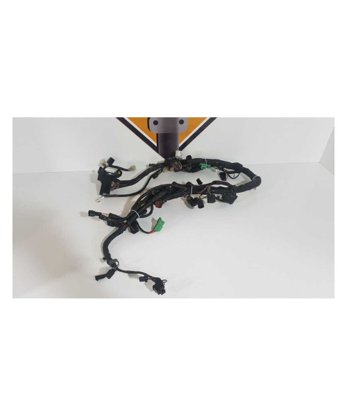 Instalatie Electrica Suzuki Gladius SFV 650 2011