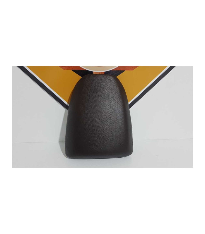 Sea Pasager Kawasaki Ninja ZX9R 1995