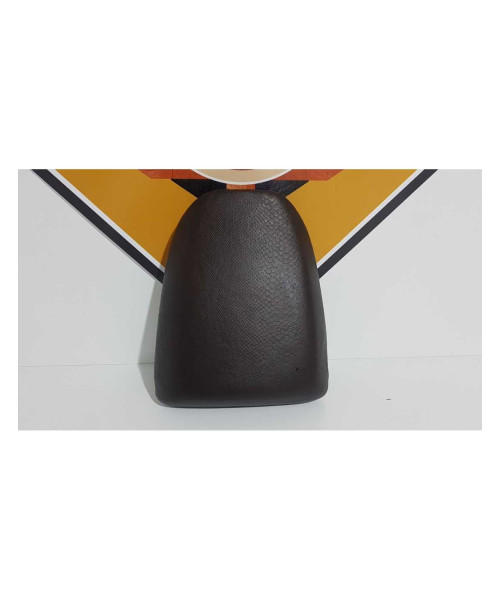 Sea Pasager Kawasaki Ninja ZX9R 1995