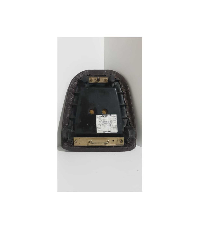 Sea Pasager Kawasaki Ninja ZX9R 1995