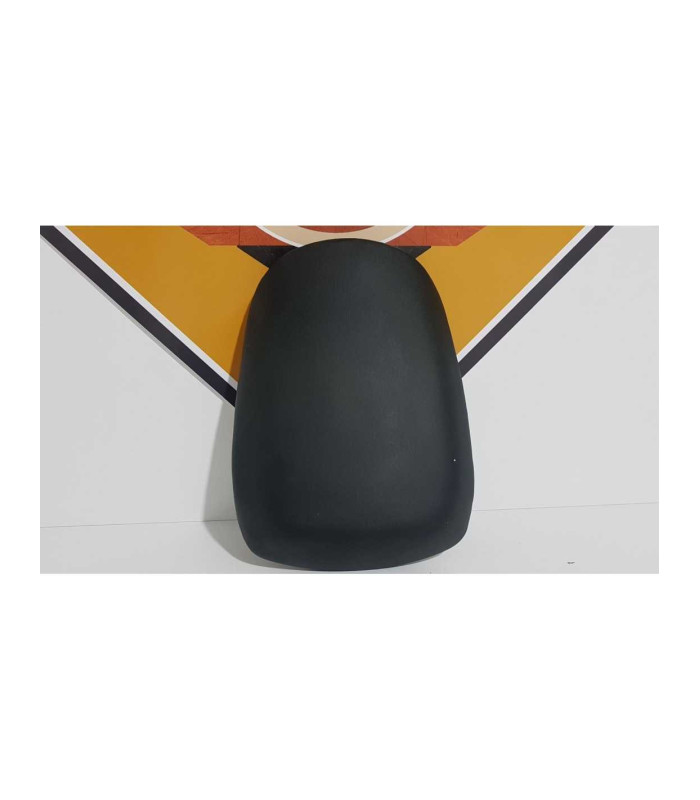 Sea Pasager Kawasaki Ninja ZX9R 1999